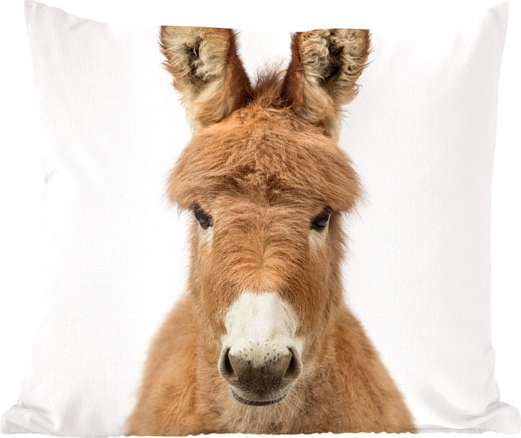 MuchoWow Zierkissen Sofakissen Wohnzimmer Dekokissen 40x40 cm Esel - Tiere - Fell - Sofakissenbezüge - ohne füllung