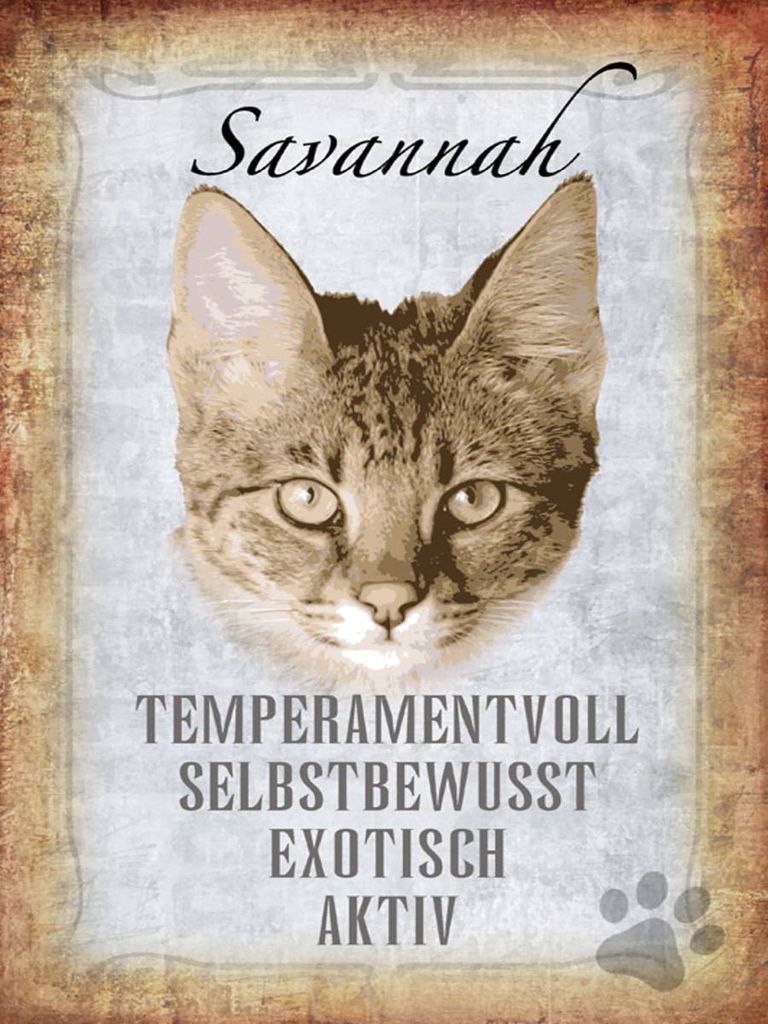 vianmo Holzschild 40x30 cm Savannah Katze exotisch