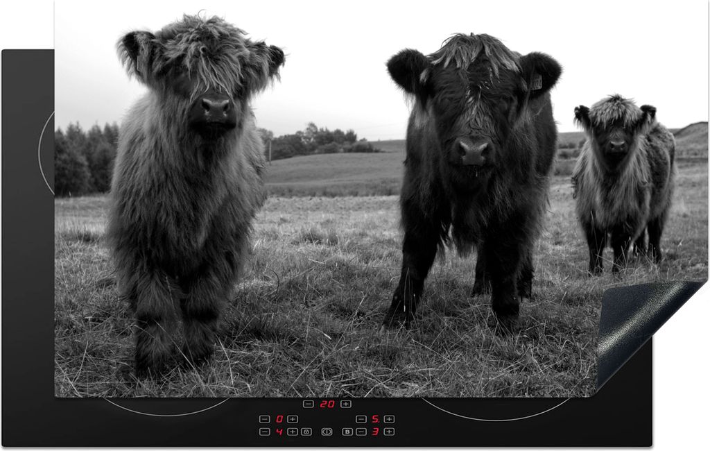 KitchenYeah Herdabdeckplatte Schottische Highlander - Kühe - Natur - Grün - Gras , 85x52cm, Küche Deko, Glaskeramikkochfeld Herdabdeckung, Abd...