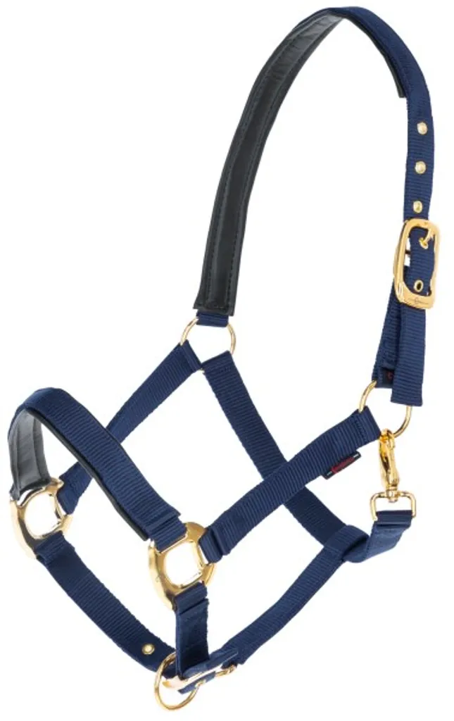 Licol Rembourré Kerbl TopLine Bleu Marine - Taille Poney Ajustable