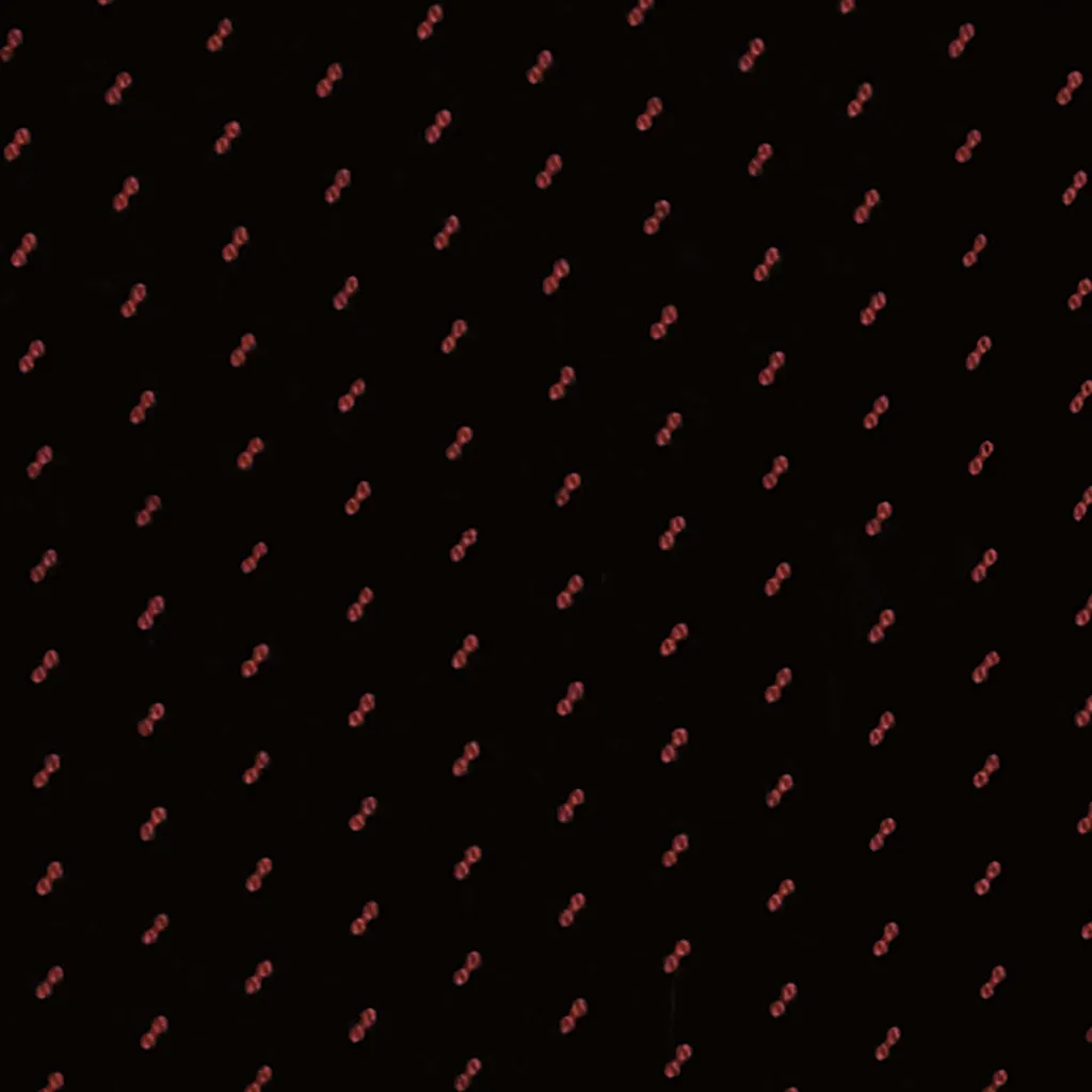 Coprisedili Omologati Petex Profi 1 Rosso - Sicurezza Certificata