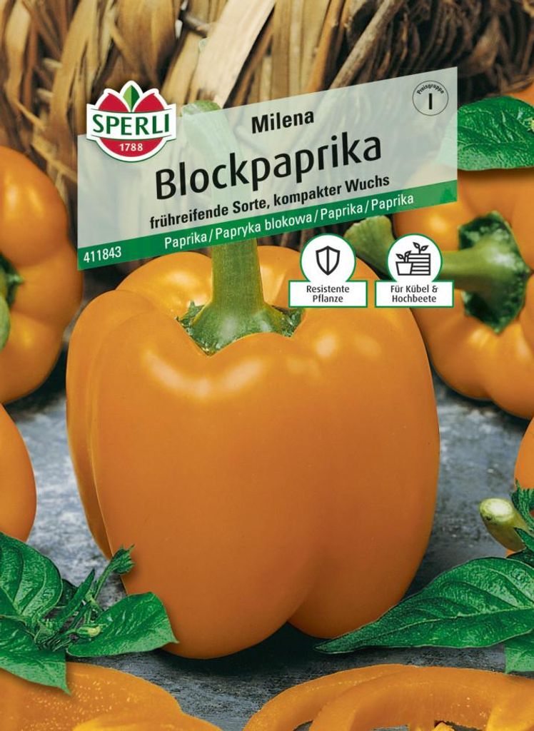Sperli Blockpaprika Milena F1 für ca. 7 Pflanzen