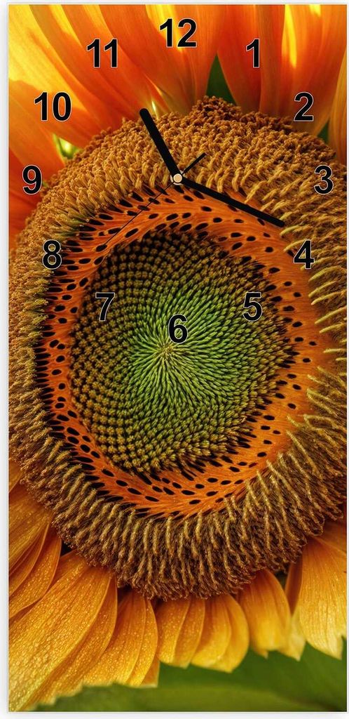Wanduhr aus Glas mit Motiv Sonnenblume Makro- 30 x 60 cm - inkl. Aufhängesystem