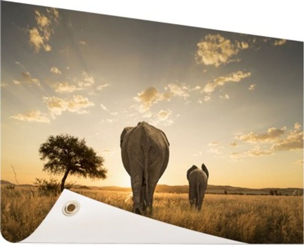 Gartenposter - 120x80 cm - Elefanten- und Kälbersavanne - Modernes Elefanten Bilder - Wilde Tierposter
