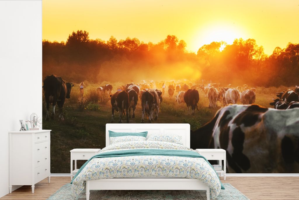 MuchoWow Fototapete für Wohnzimmer oder Schlafzimmer Wandtapete Vinyl Motivtapete Kühe - Sonnenuntergang - Wiese - Tiere - 360x240 cm - Vinyl-T...