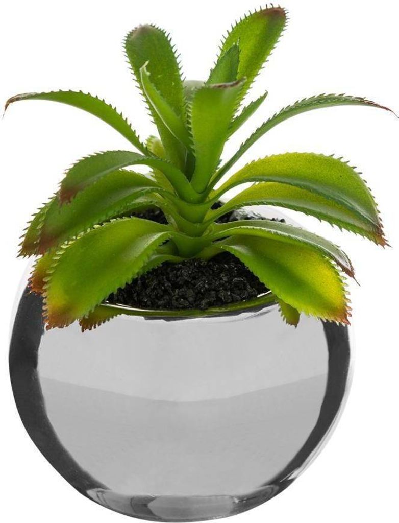 Grünpflanze keramiktopf h.15 - Atmosphera créateur d'intérieur