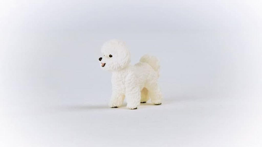 Schleich 13963 Bichon Frisé – Figurine Animalière Réaliste – Farm World – Jouet Collection Dès 3 Ans – Chien à La Fourrure Cotonneuse