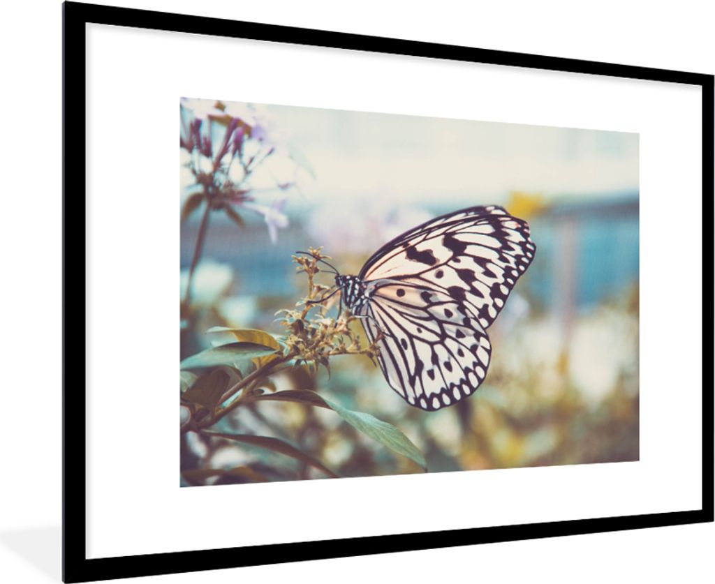 MuchoWow® Gerahmtes Poster Schmetterling - Blumen - Produktbild 