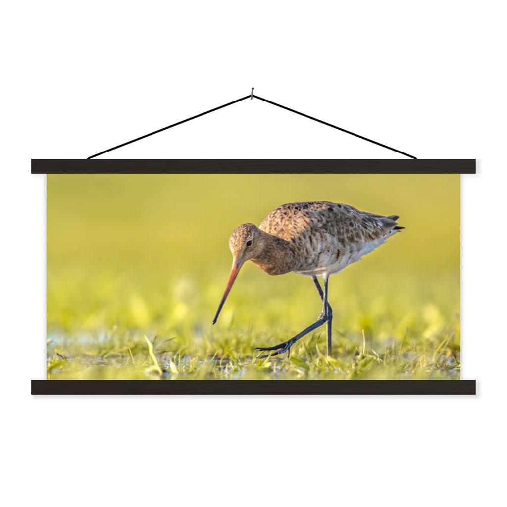 MuchoWow Textilposter Vögel - Gras - Landschaft - Uferschnepfe 60x30 cm mit schwarzem Rahmen - Textilien