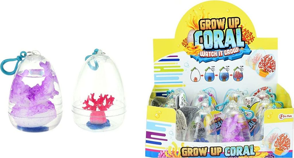 Korallenei: Wachsende Koralle im Ei - wächst bis zu 400%!