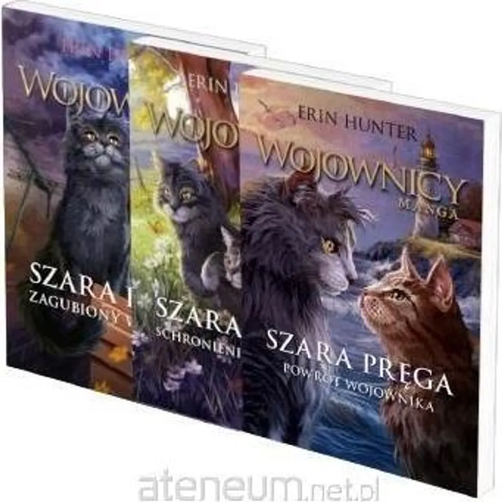 Idée Cadeau Lecture Adolescents - La Guerre des Clans Tome 3 Broché