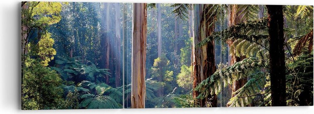 Bild auf Leinwand - Leinwandbild - 3 Teile - Morgendämmerung Bäume Wald - 90x30cm - Wand Bild - Wanddeko - Wandbilder - Leinwanddruck - Bilder - ...
