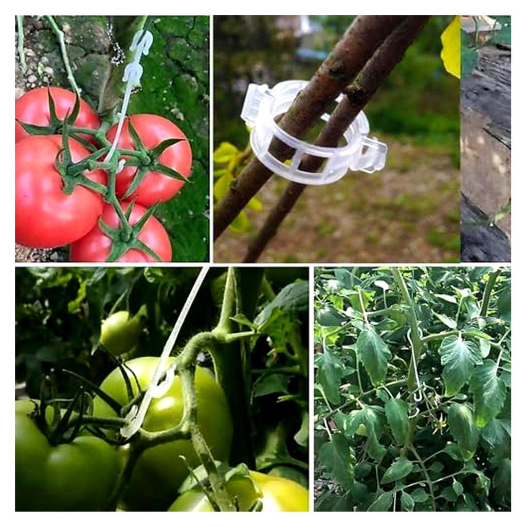 200 Stück Pflanzenklammern - 100 Stück Tomatenhaken und 100 Stück J-Haken für die Unterstützung von Gartenpflanzen