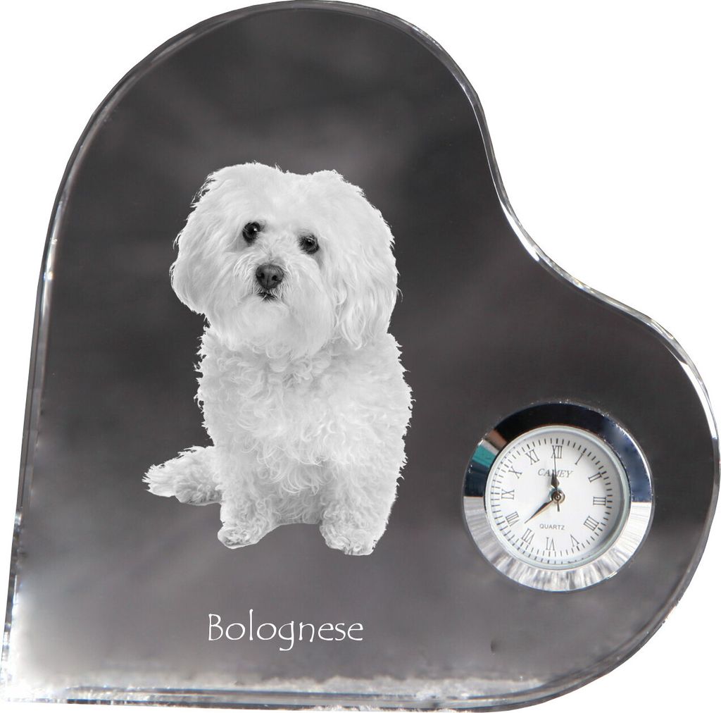 Bologneser, Bichon Bolognese - Kristalluhr mit einem Hundebild, Herzregal-Uhr, personalisierte Standuhr der Marke Art-Dog