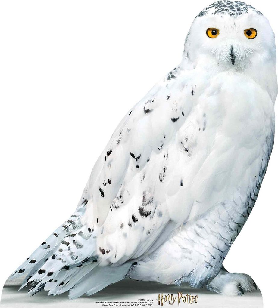 Eule Hedwig Pappaufsteller 74cm Produktbild 