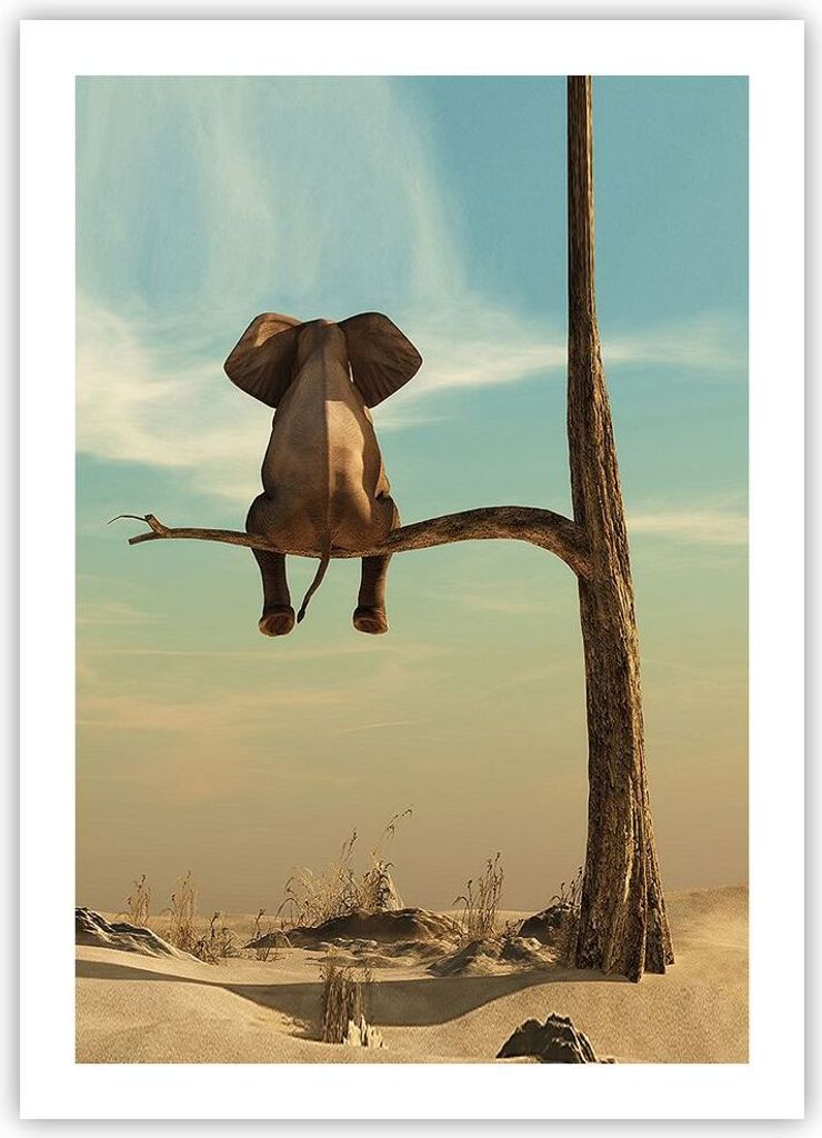 Poster - Poster ohne Rahmen - Elefant sitzend Ast - 50x70 cm - Wand Bild - Wanddeko - Wandbilder - Kunstposter - Wandposter - Bilder - Kunstdruck -...