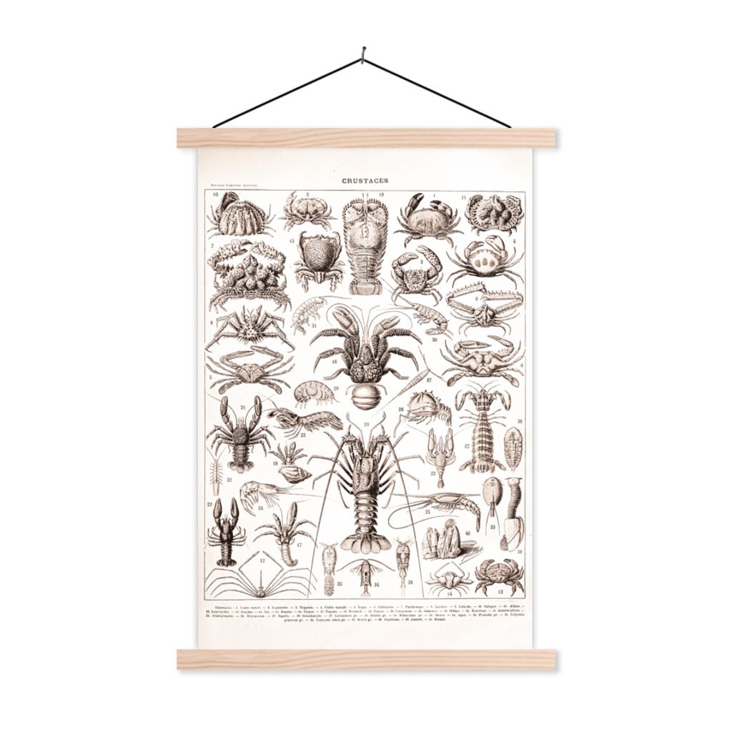 MuchoWow® Textilposter Hummer - Meerestiere - Schwarz - Produktbild 