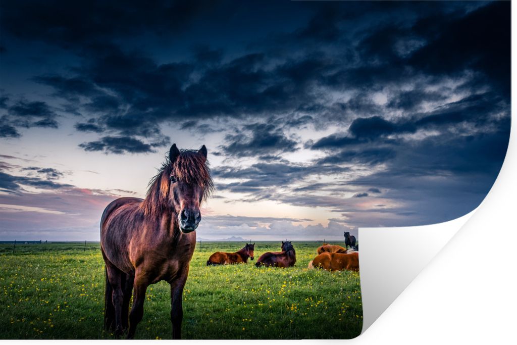 MuchoWow - Aufkleber