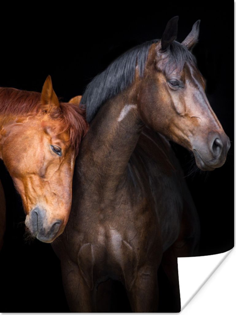 MuchoWow Poster Pferde - Tiere - Porträt - Braun 60x80 cm - Schlafzimmer Dekoration