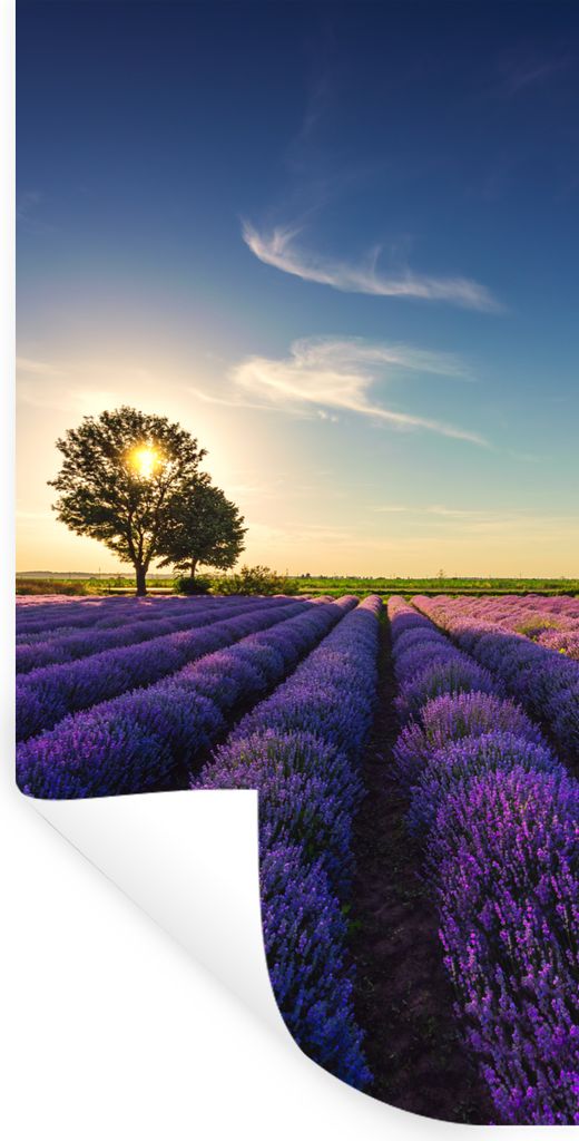 MuchoWow Wandtattoo Wandsticker Wandaufkleber Lavendel - Sonne - Baum - Blumen - Lila 40x80 cm Selbstklebend und Repositionierbar - Repositionier...