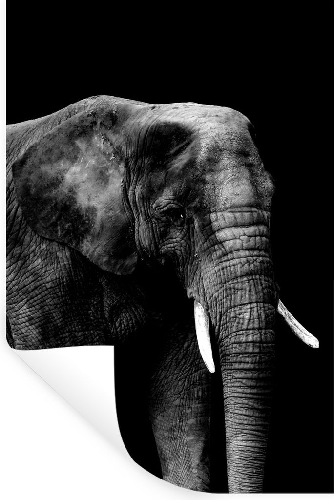 MuchoWow Wandtattoo Wandsticker Wandaufkleber Elefant auf schwarzem Hintergrund - schwarz und weiß 20x30 cm Selbstklebend und Repositionierbar -...