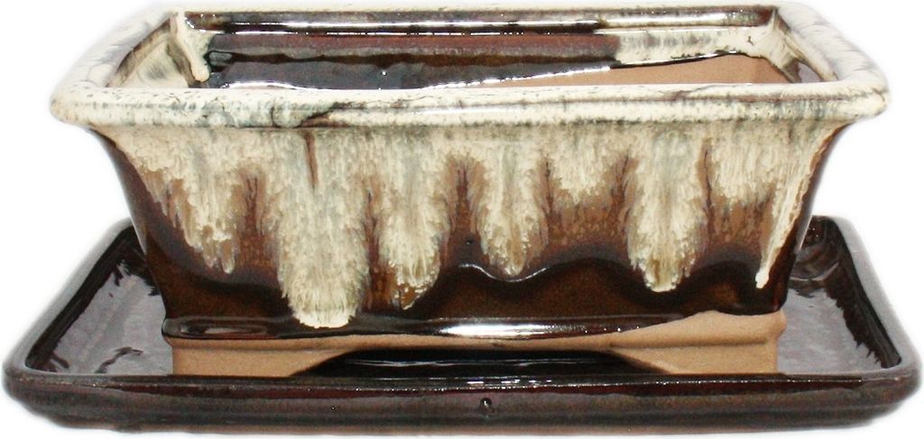 Bonsai-Schale mit Unterteller Gr. 8 Zoll braun-beige eckig Produktbild 