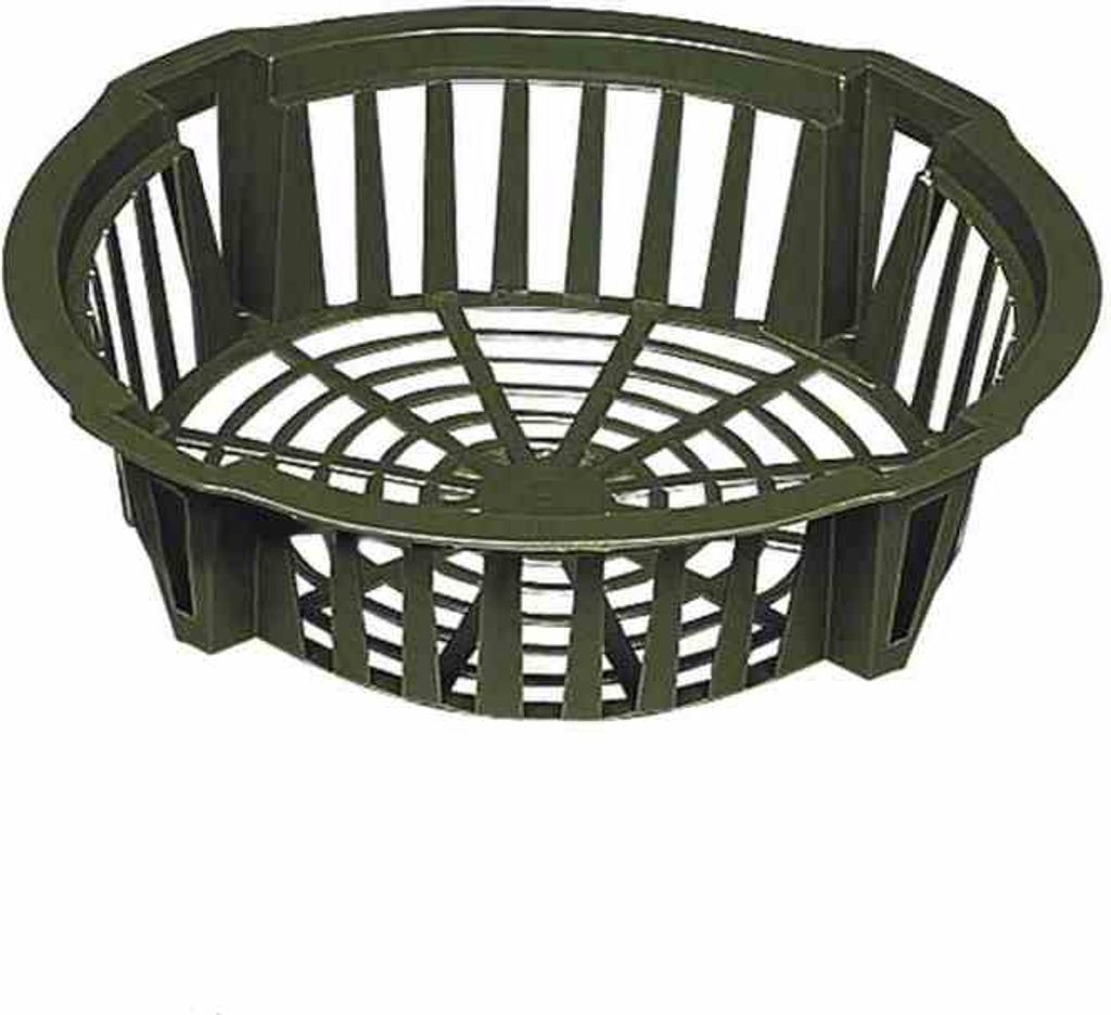 EGUFER 917-1191 Plante à bulbes 22 cm ronde, verte (paquet Image du produit 