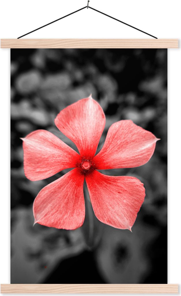 MuchoWow Textilposter Blumen - Rot - Schwarz - Weiß 120x180 cm mit holzfarbenen Rahmen - Textil-Plakat