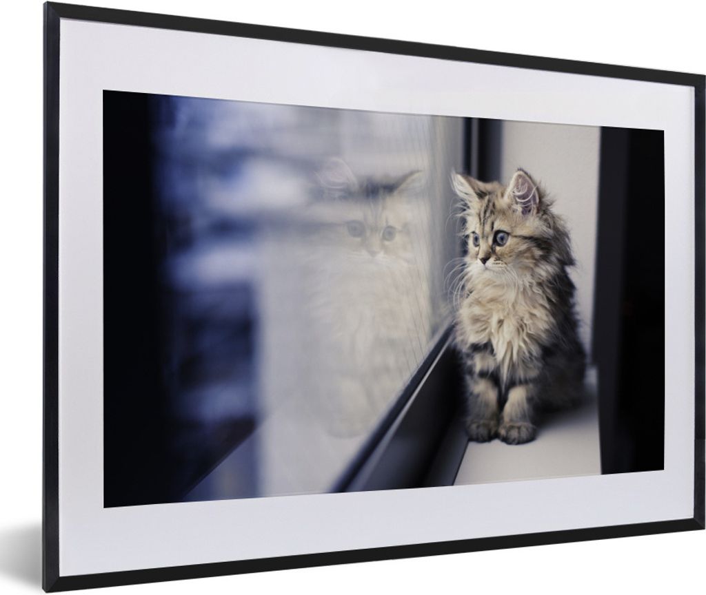 MuchoWow Gerahmtes Poster Ein persisches Kätzchen schaut aus dem Fenster 60x40 cm - Poster mit Schwarzem Bilderrahmen Wandposter Rahmen Foto Bil...