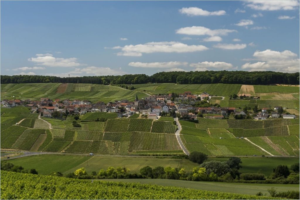 Wallario Poster - Panoramablick über die Champagne, Kunstdruck Größe: 61 x 91,50 cm