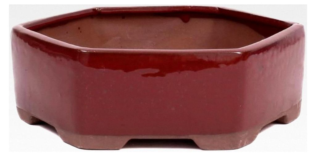 Bonsai - Schale sechseckig 19.5 Ø x 6.5 cm braunrot