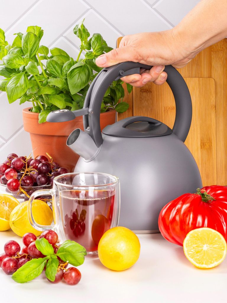 Traditioneller Wasserkessel Mit Pfeifer Für Gas Und Induktion Ofenbach
