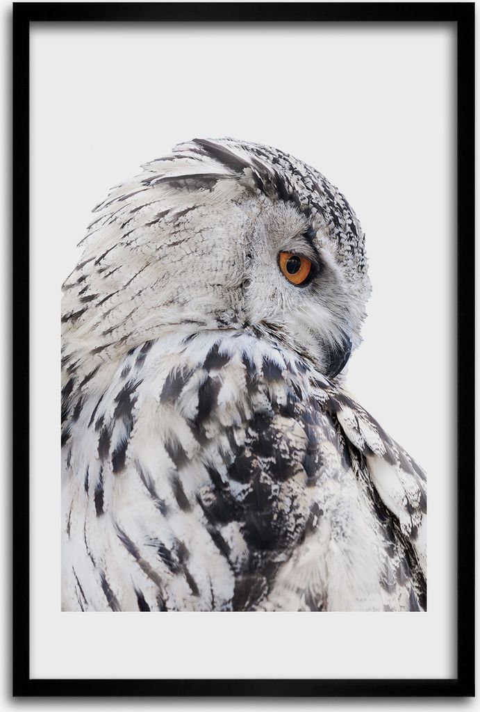 Bild - Bilderrahmen - 40 cm x 60 cm - MDF - Rahmen - Wandkunst - Weiße Eule