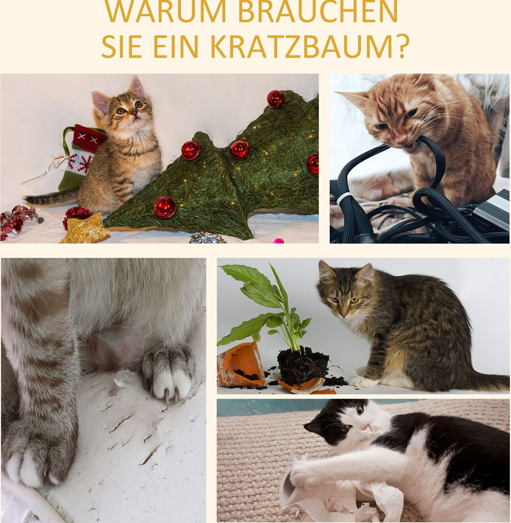 PawHut Kratzbaum Deckenhoch, 228-260 cm Höhenverstellbarer Produktbild 7