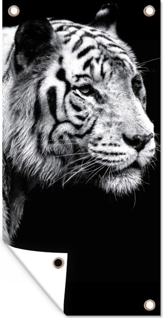 MuchoWow 40x80 cm Outdoor-Poster Gartendeko Sichtschutz Garten Poster für den Garten Tiger - Wilde Tiere - Licht