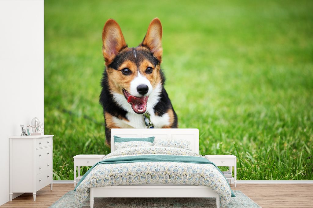 MuchoWow Fototapete für Wohnzimmer oder Schlafzimmer Wandtapete Vinyl Motivtapete Laufender Hund - 450x300 cm - Gemusterte
