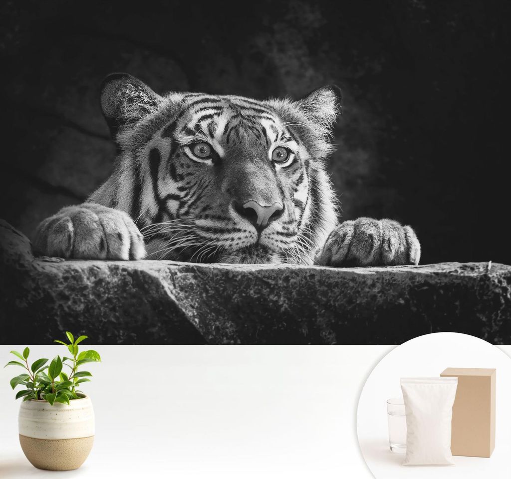 Fototapete - 104x70 cm - Tapete - Wandtapete - Wandbilder - Dekofolie - Tapete Folie - Wand - Dekoration - Wohnzimmer - Raubtierblick