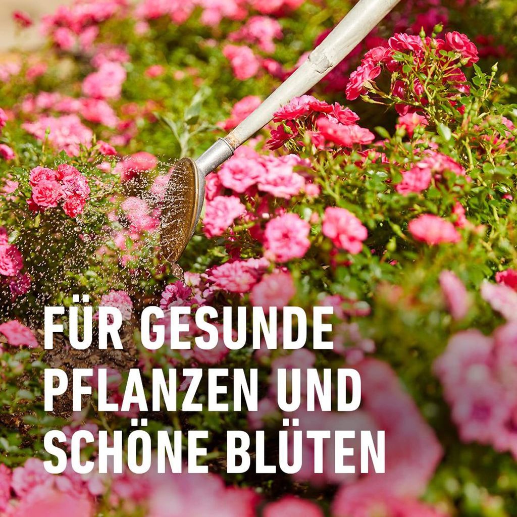 COMPO Rosen Langzeit-Dnger mit Schafwolle 2 kg Dnger