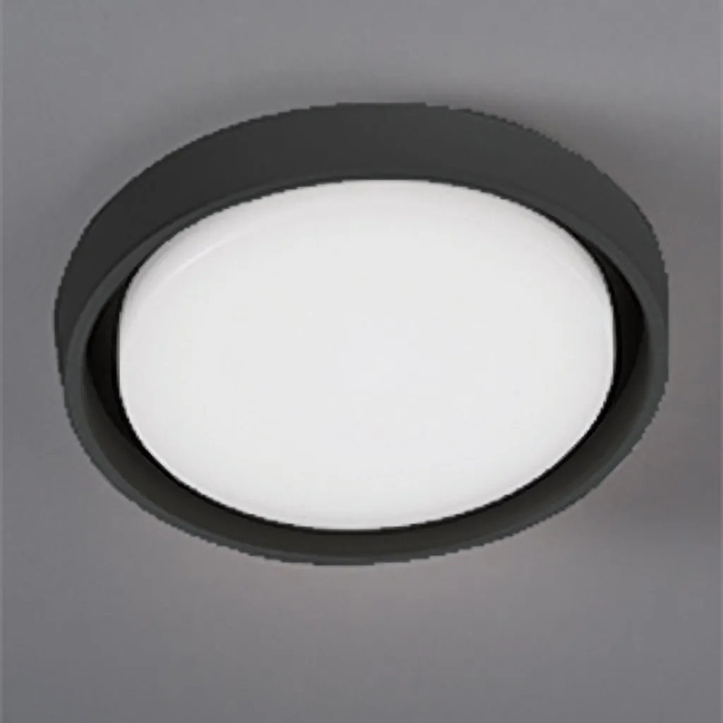 Plafonnier LED Extérieur Rond IP54 Gris Anthracite 30W Lumière Chaude
