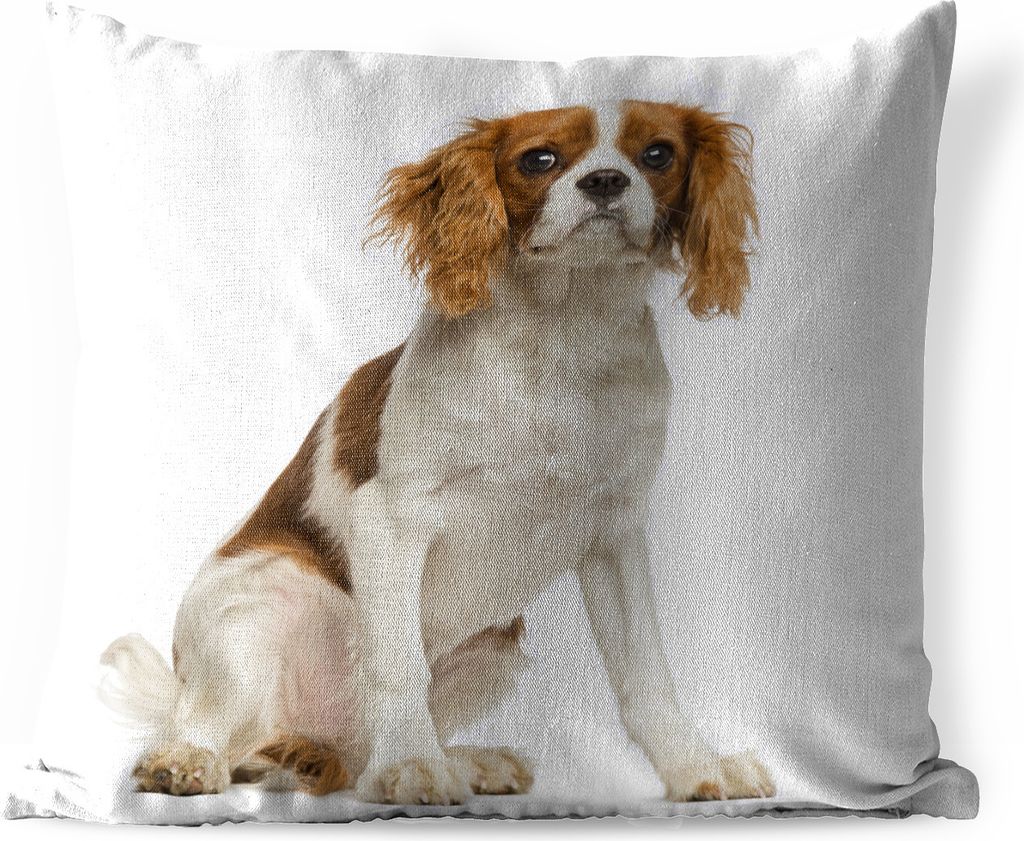 MuchoWow Outdoor Kissen - Liebenswerter Cavalier King Charles Spaniel - 45x45 cm - Wetterfest - Lounge Kissen - Kissenbezüge - Dekokissenbezug -...