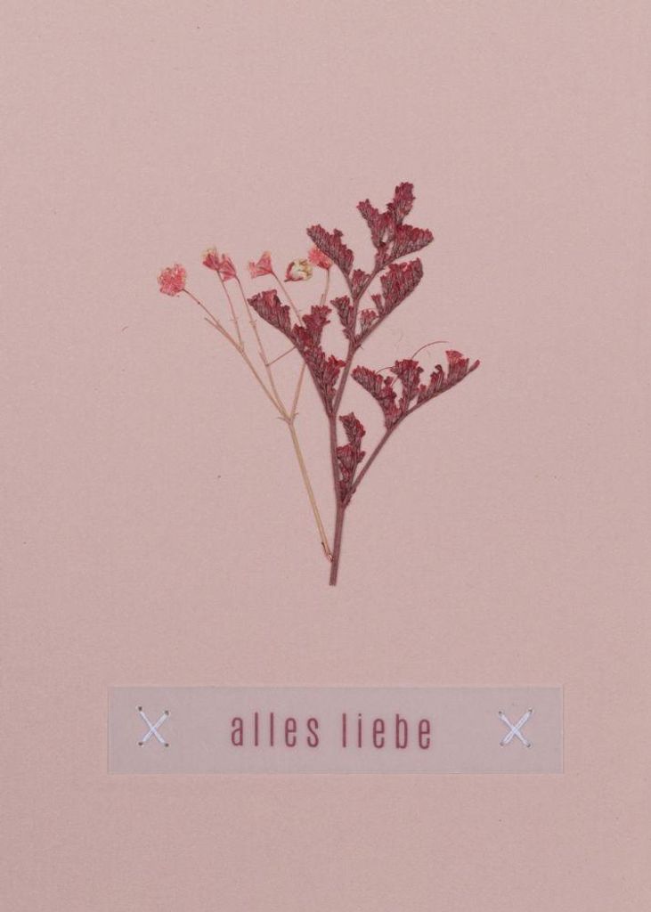 Blumengruß Glückwunschkarte "Alles Liebe"