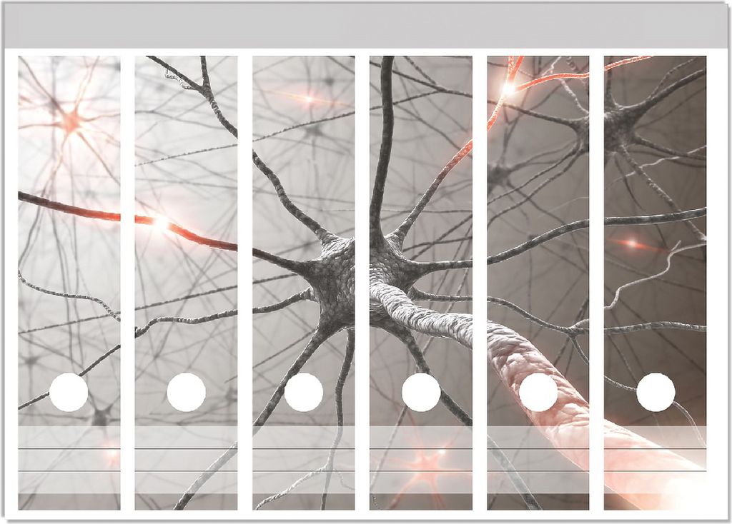 Wallario Ordnerrücken Sticker, selbstklebend für breite Ordner, 6 Stück, Motiv Menschliche Nervenzelle