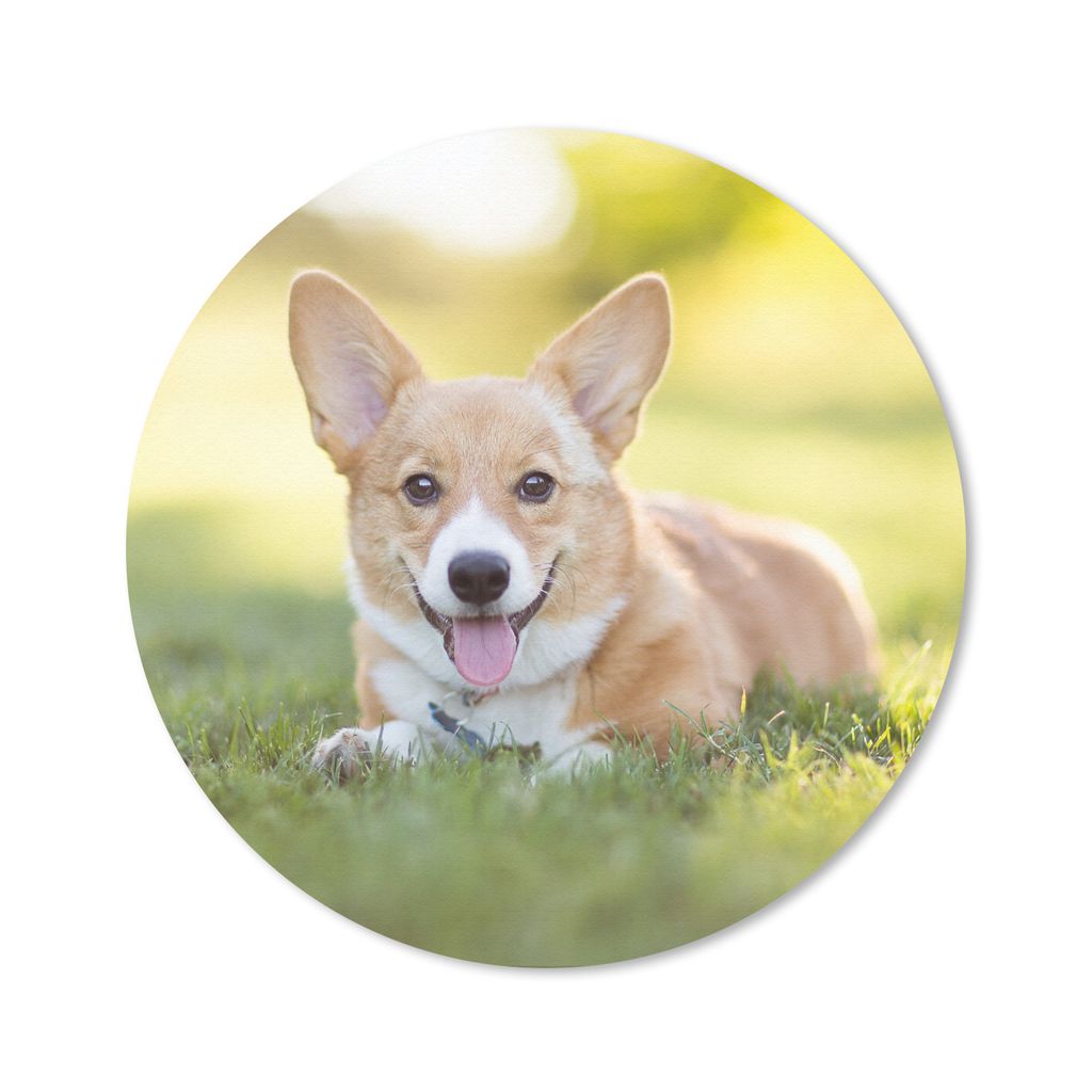 MuchoWow Mauspad Mousepad Welsh Corgi Welpe 20x20 cm - Mousepads - Maus Mat - Pad - Mausunterlage - Schreibtischmatte