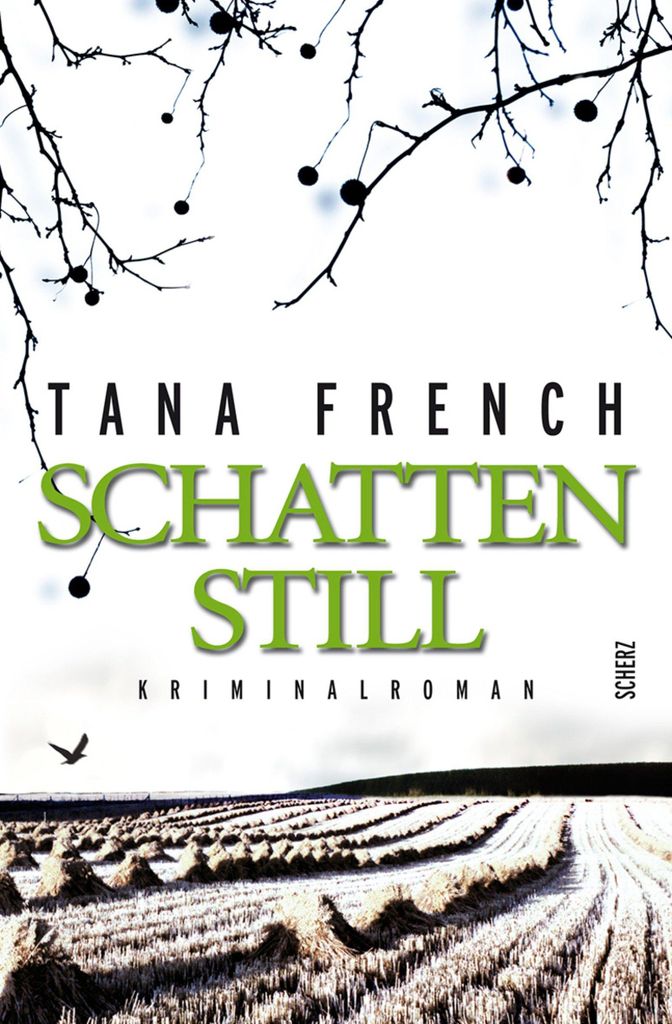 Schattenstill: Kriminalroman