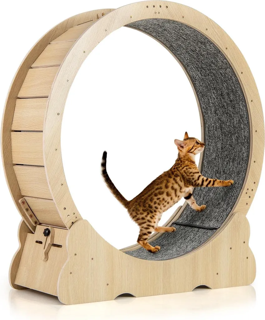 Roue pour chat silencieuse 101 cm : stop à l'ennui avec verrouillage