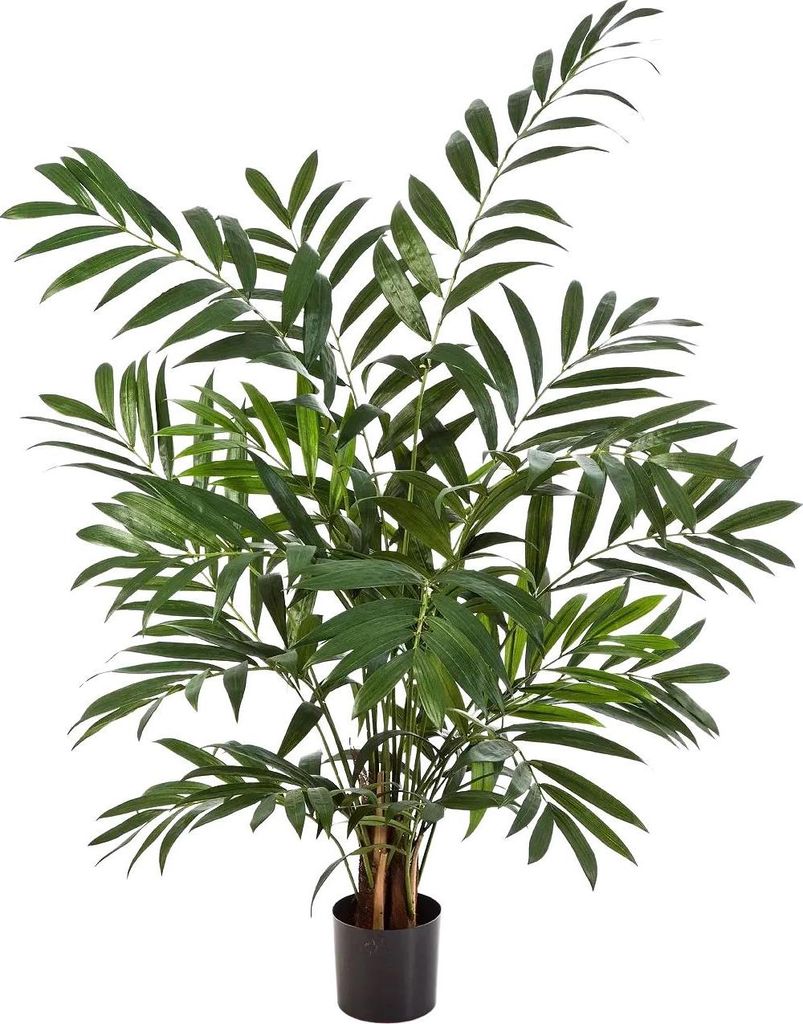 aplanta Künstliche Bergpalme - Chantal | 110 cm, für drinnen, Kunstbaum, wie echt, Allergiker geeignet, pflanzliche Dekoration Praxis, Office & W...