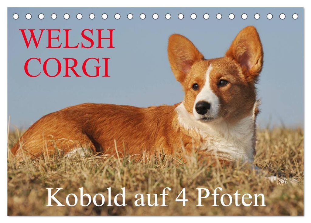 Welsh Corgi - Kobold auf 4 Pfoten (Tischkalender 2027 DIN A5 quer), CALVENDO Monatskalender