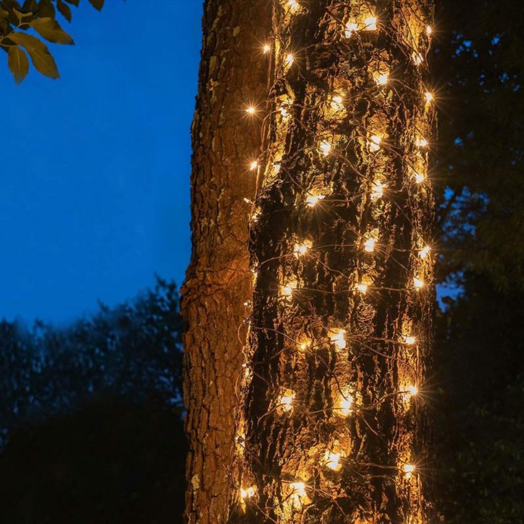 ACA Weihnachtsbeleuchtung LED-Netzwerk 50 LEDs warmweiß inkl. Netzteil erweiterbar auf max. 12 Sets IP44 55x80cm grünes Kabel + 5 Haken X0850111