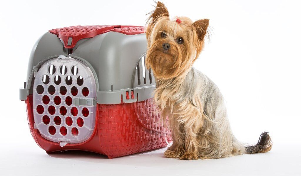 Bama Pet Transportbox 59x38x37 cm Rood/Zilver