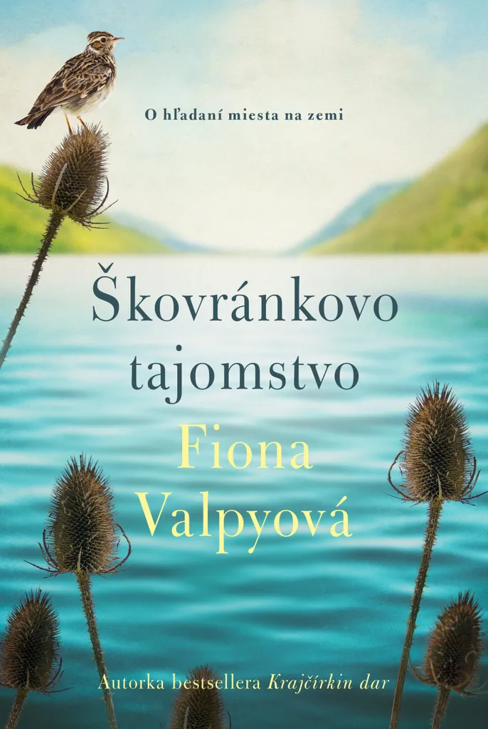 Lecture Évasion : Le Secret de l'Alouette de Fiona Valpy en Écosse